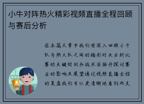 小牛对阵热火精彩视频直播全程回顾与赛后分析