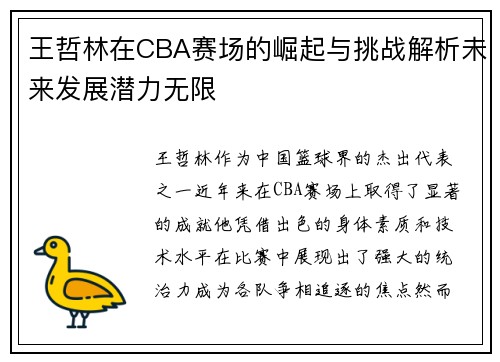 王哲林在CBA赛场的崛起与挑战解析未来发展潜力无限