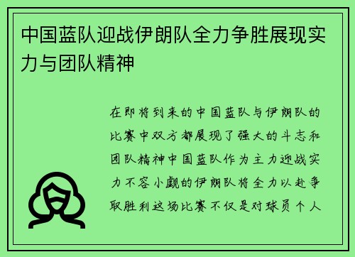 中国蓝队迎战伊朗队全力争胜展现实力与团队精神