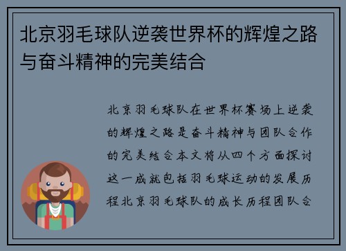 北京羽毛球队逆袭世界杯的辉煌之路与奋斗精神的完美结合